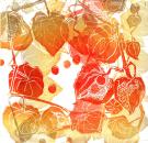 Garden delights - Physalis