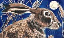 Harvest moon hare